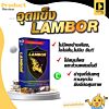 Lambor แลมโบร (1 กล่อง 10 แคปซูล)